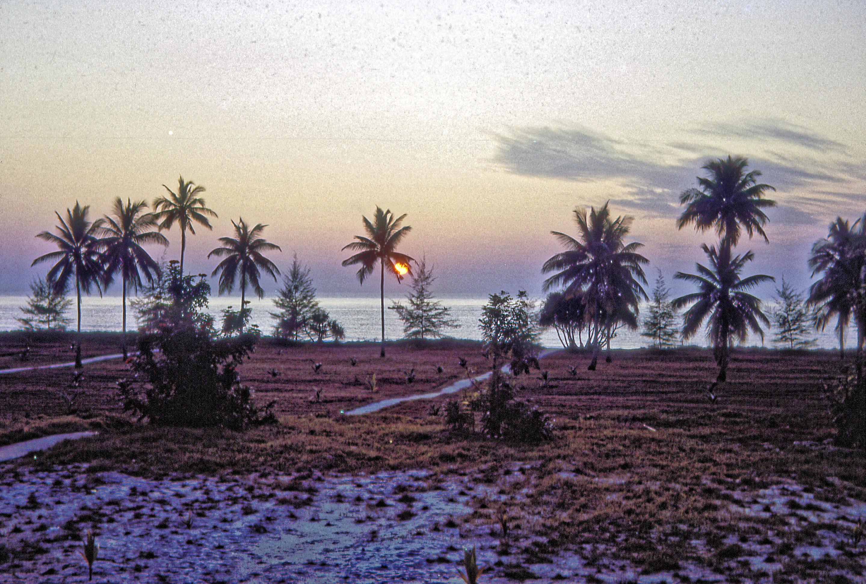 https://lemis.nyc3.digitaloceanspaces.com/grog/Photos/19640822/big/Kemaman-sunrise.jpeg