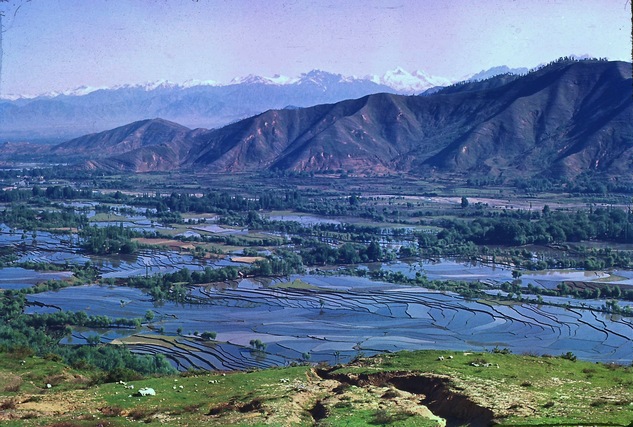 https://lemis.nyc3.digitaloceanspaces.com/grog/Photos/19670512/small/Kashmir-valley-1.jpeg
