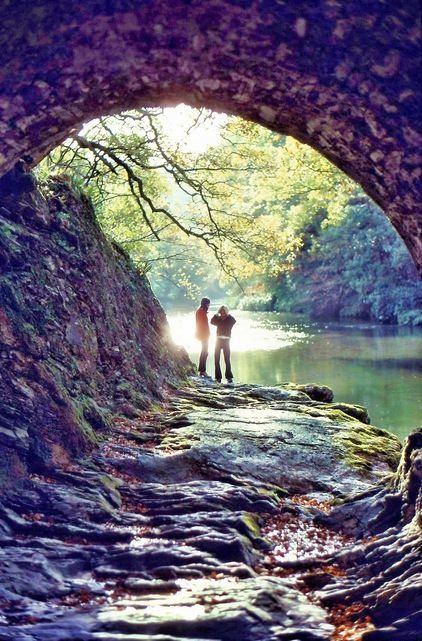 https://lemis.nyc3.digitaloceanspaces.com/grog/Photos/19680920/small/River-1.jpeg