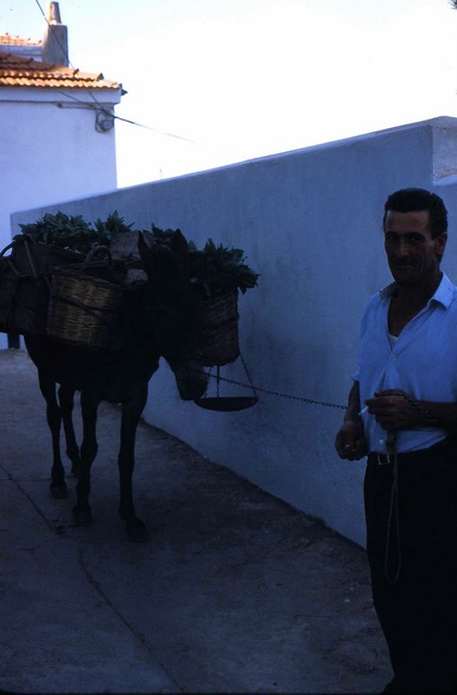 https://lemis.nyc3.digitaloceanspaces.com/grog/Photos/19720810/small/Skiathos-8.jpeg