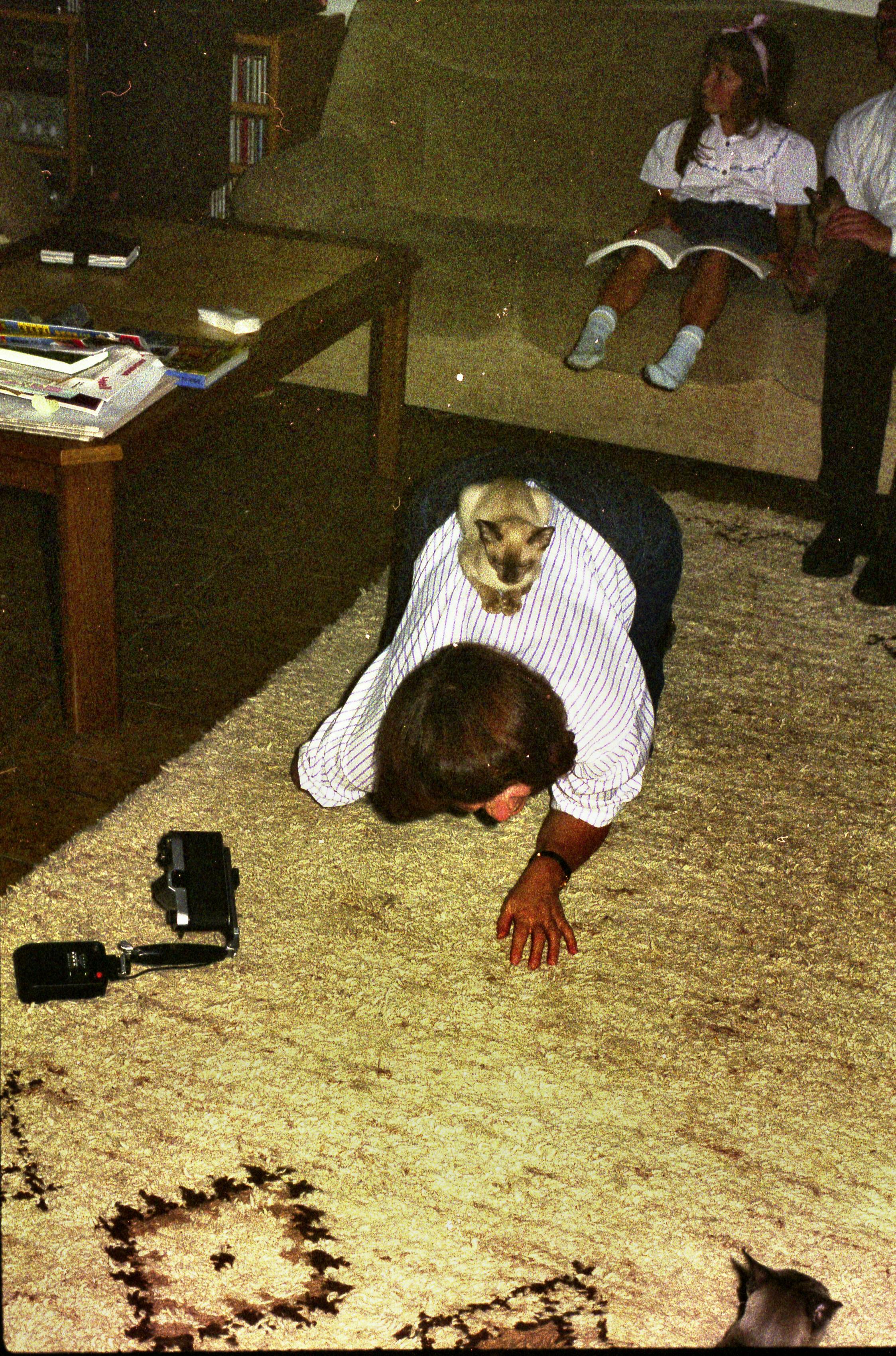 https://lemis.nyc3.digitaloceanspaces.com/grog/Photos/19901001/big/cats-1.jpeg