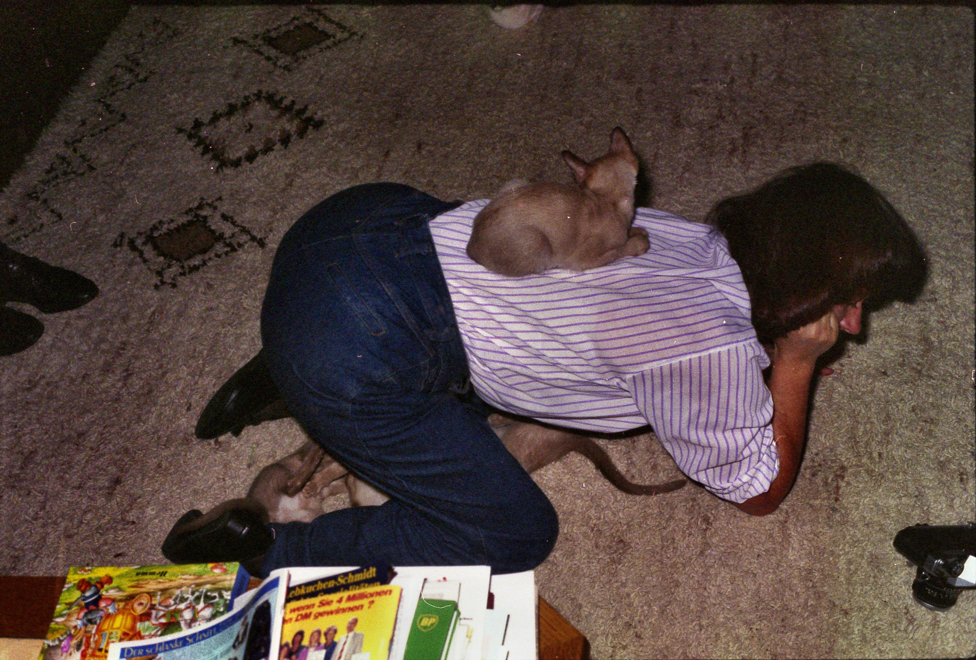 https://lemis.nyc3.digitaloceanspaces.com/grog/Photos/19901001/big/cats-3.jpeg
