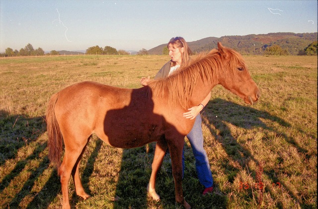 https://lemis.nyc3.digitaloceanspaces.com/grog/Photos/19951017/small/horse-7.jpeg