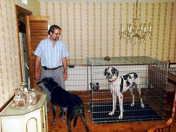 https://lemis.nyc3.digitaloceanspaces.com/grog/Photos/19980617/small/Jerry-with-dogs.jpeg