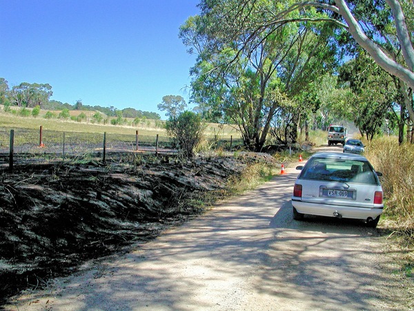 https://lemis.nyc3.digitaloceanspaces.com/grog/Photos/20020131/small/bushfire-1539.jpeg