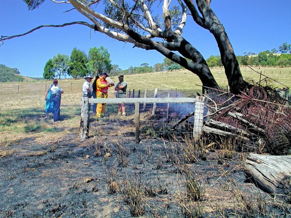 https://lemis.nyc3.digitaloceanspaces.com/grog/Photos/20020131/small/bushfire-1541.jpeg