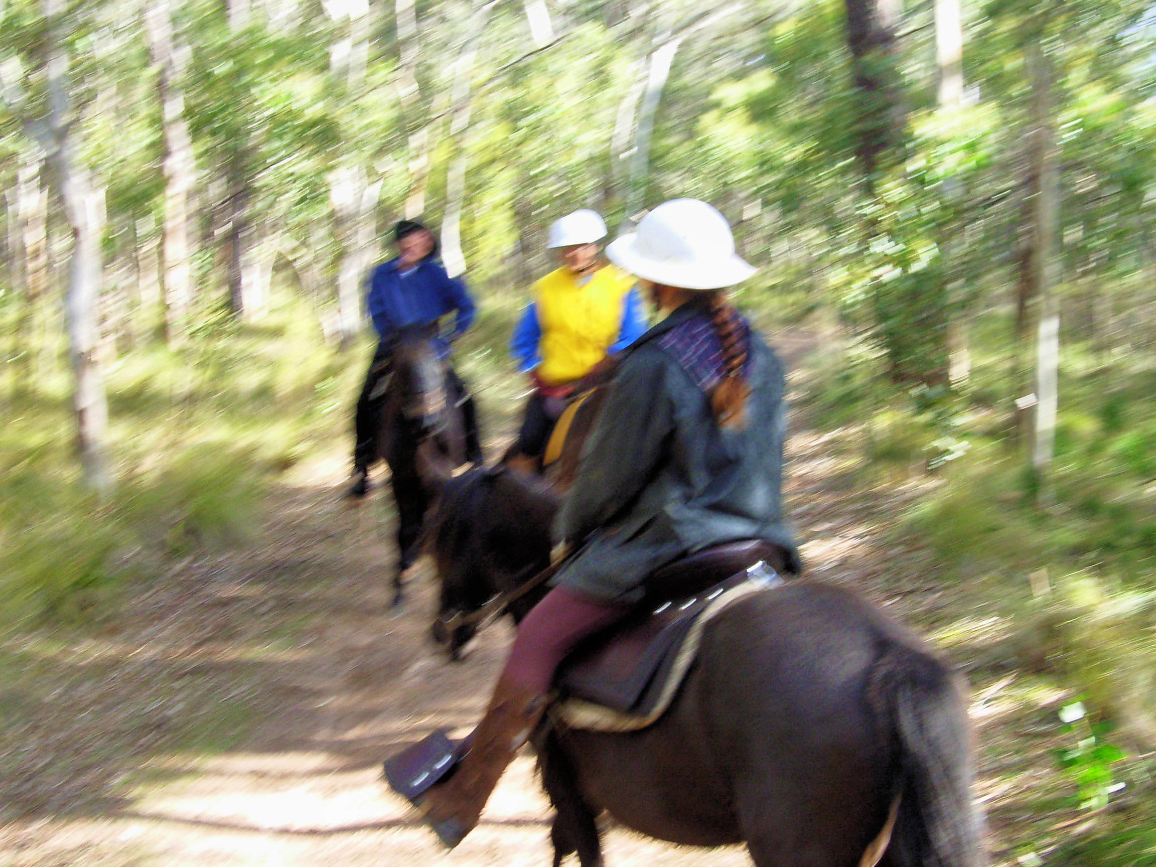 https://lemis.nyc3.digitaloceanspaces.com/grog/Photos/20050723/big/Ride-15.jpeg