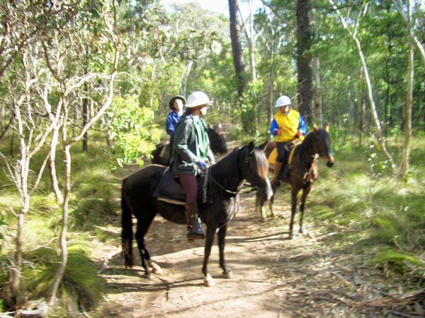 https://lemis.nyc3.digitaloceanspaces.com/grog/Photos/20050723/small/Ride-18.jpeg