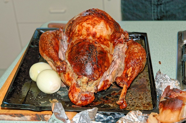 https://lemis.nyc3.digitaloceanspaces.com/grog/Photos/20051225/small/Turkey-carving-19.jpeg