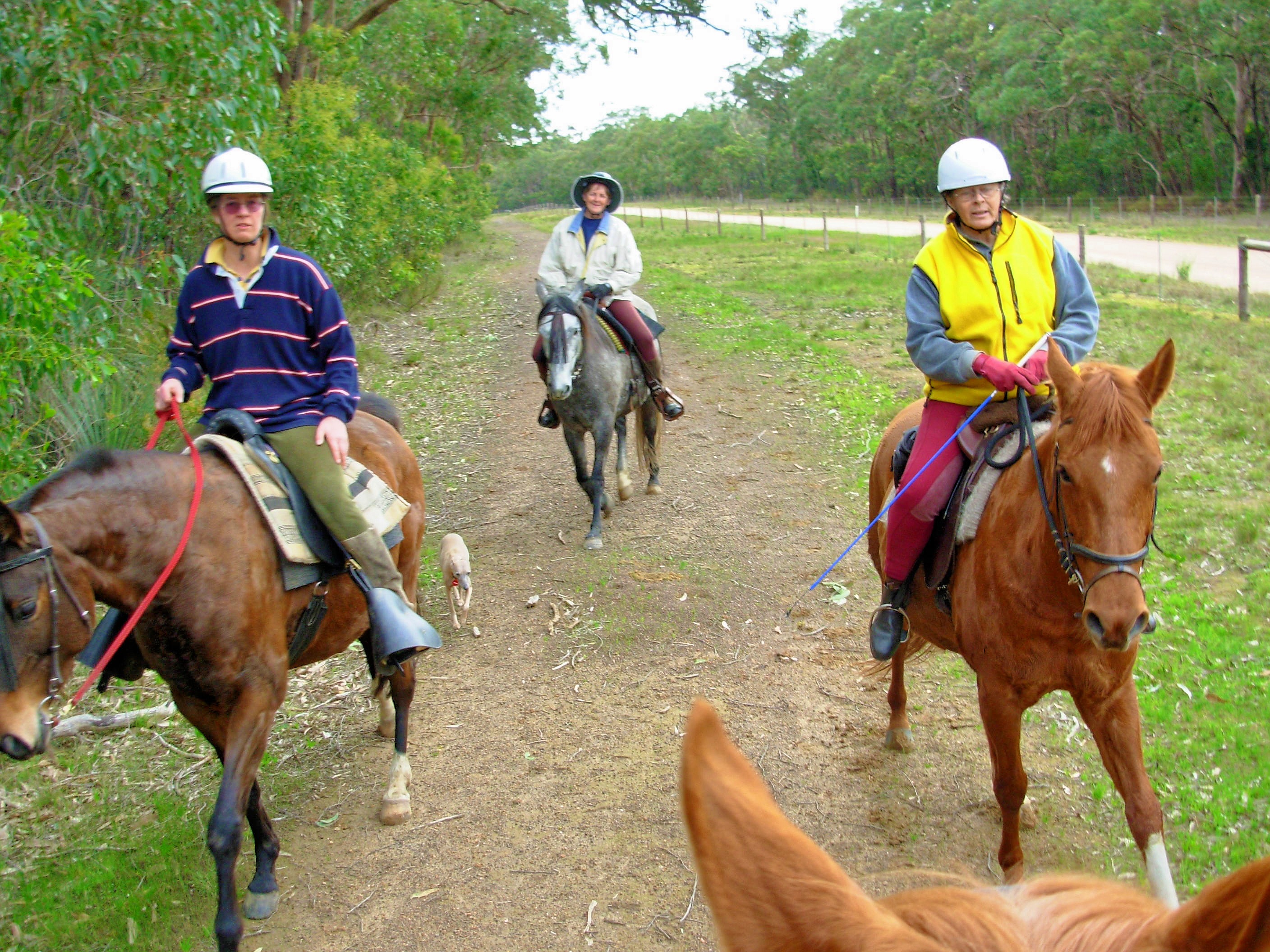 https://lemis.nyc3.digitaloceanspaces.com/grog/Photos/20060722/big/Riding-4.jpeg