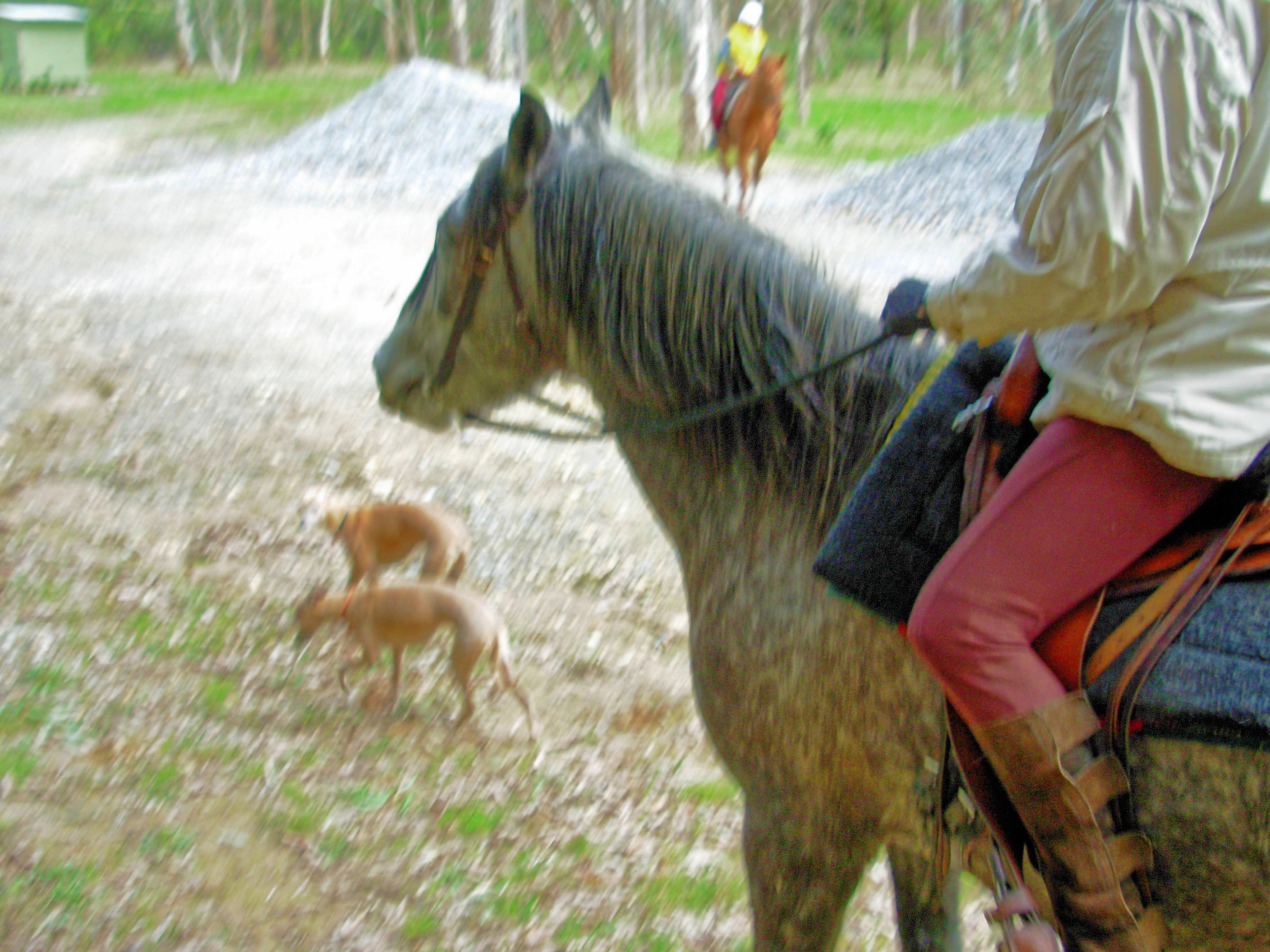 https://lemis.nyc3.digitaloceanspaces.com/grog/Photos/20060722/big/Riding-5.jpeg