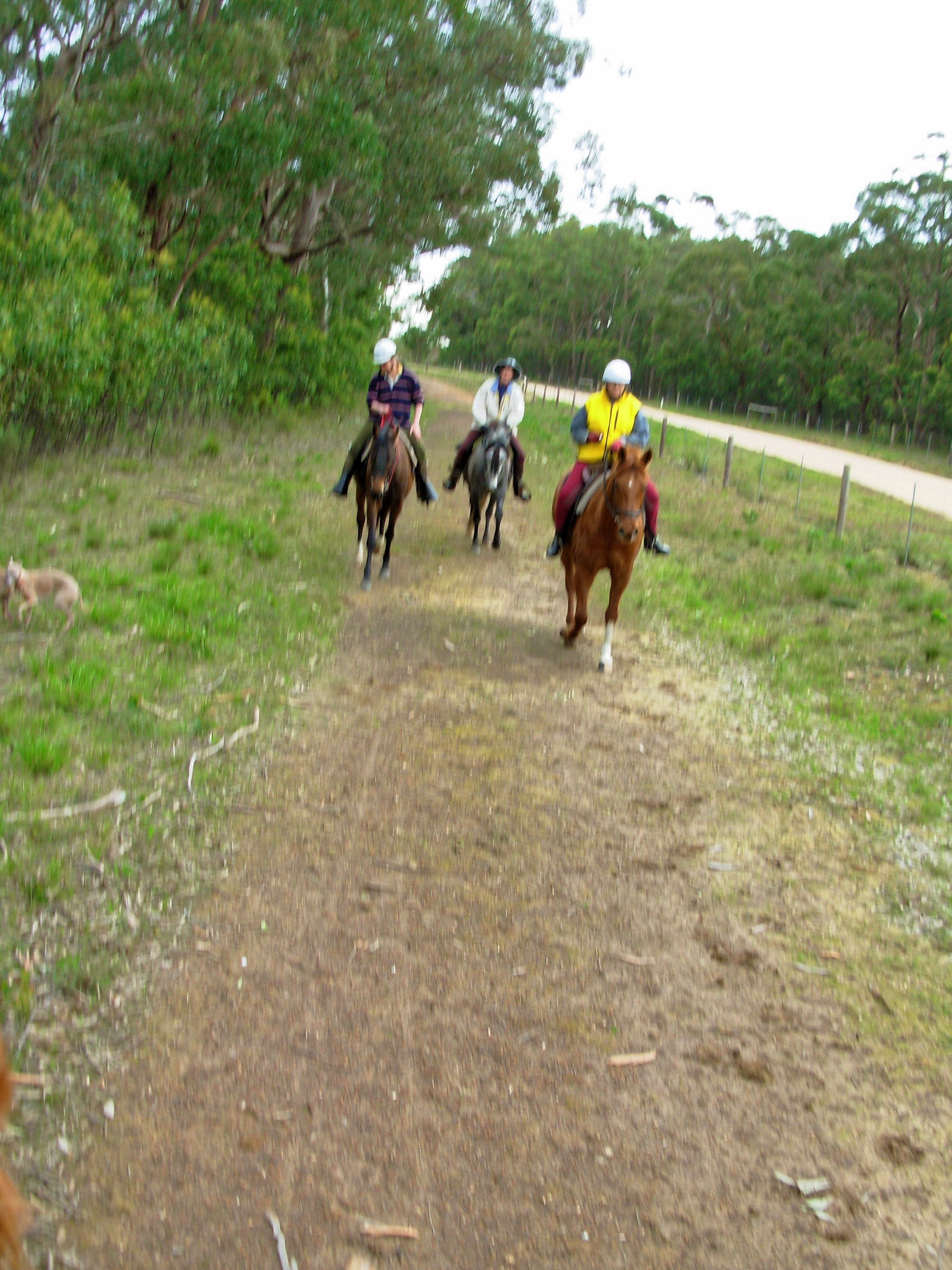 https://lemis.nyc3.digitaloceanspaces.com/grog/Photos/20060722/big/Riding-6.jpeg