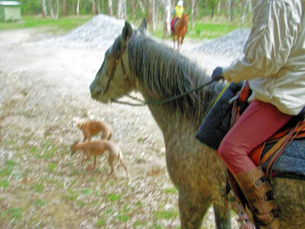 https://lemis.nyc3.digitaloceanspaces.com/grog/Photos/20060722/small/Riding-5.jpeg