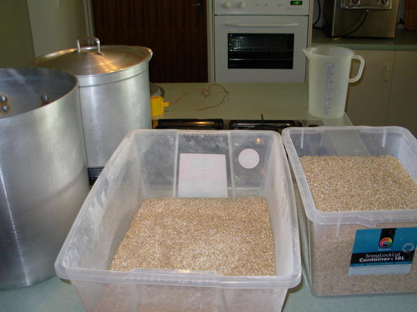 https://lemis.nyc3.digitaloceanspaces.com/grog/Photos/20060924/small/malt-1.jpeg