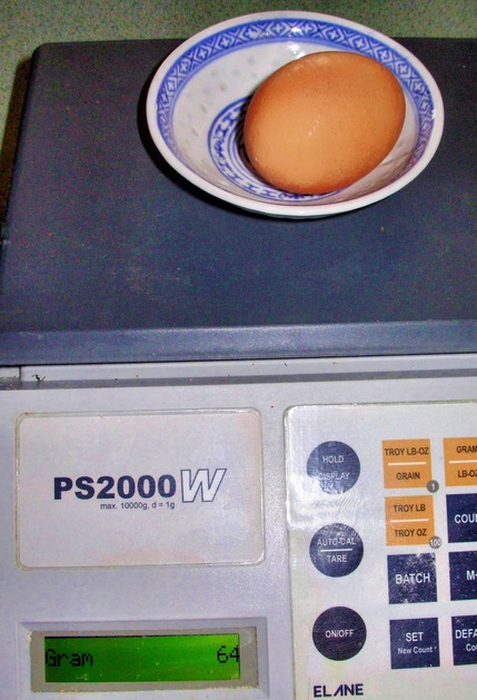 https://lemis.nyc3.digitaloceanspaces.com/grog/Photos/20061111/small/egg-3-detail.jpeg