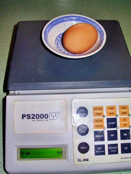 https://lemis.nyc3.digitaloceanspaces.com/grog/Photos/20061111/small/egg-3.jpeg