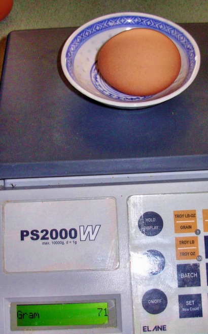 https://lemis.nyc3.digitaloceanspaces.com/grog/Photos/20061111/small/egg-4-detail.jpeg