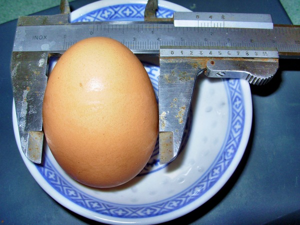 https://lemis.nyc3.digitaloceanspaces.com/grog/Photos/20061111/small/egg-6.jpeg