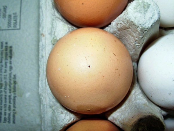 https://lemis.nyc3.digitaloceanspaces.com/grog/Photos/20061111/small/pierced-egg-2.jpeg