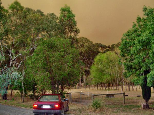 https://lemis.nyc3.digitaloceanspaces.com/grog/Photos/20070110/small/bushfire-3.jpeg