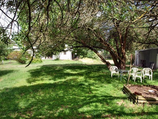 https://lemis.nyc3.digitaloceanspaces.com/grog/Photos/20071201/small/garden-w.jpeg