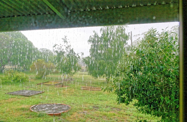 https://lemis.nyc3.digitaloceanspaces.com/grog/Photos/20071220/small/rain-1.jpeg