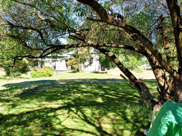 https://lemis.nyc3.digitaloceanspaces.com/grog/Photos/20080216/small/garden-sw.jpeg