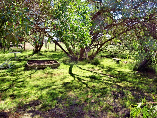 https://lemis.nyc3.digitaloceanspaces.com/grog/Photos/20080216/small/shade-n.jpeg