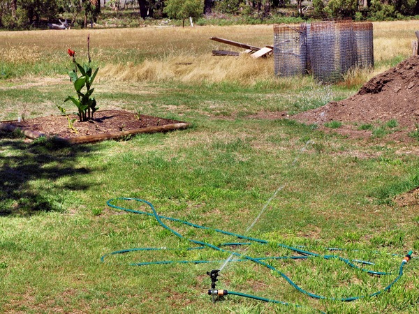https://lemis.nyc3.digitaloceanspaces.com/grog/Photos/20080216/small/sprinkler-2.jpeg