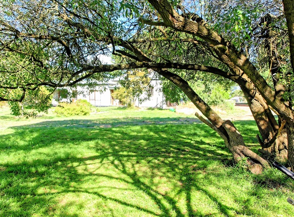 https://lemis.nyc3.digitaloceanspaces.com/grog/Photos/20080301/small/garden-sw.jpeg