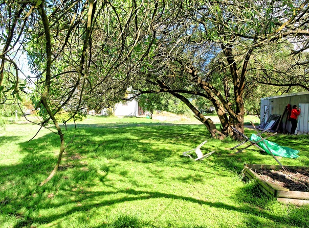 https://lemis.nyc3.digitaloceanspaces.com/grog/Photos/20080301/small/garden-w.jpeg