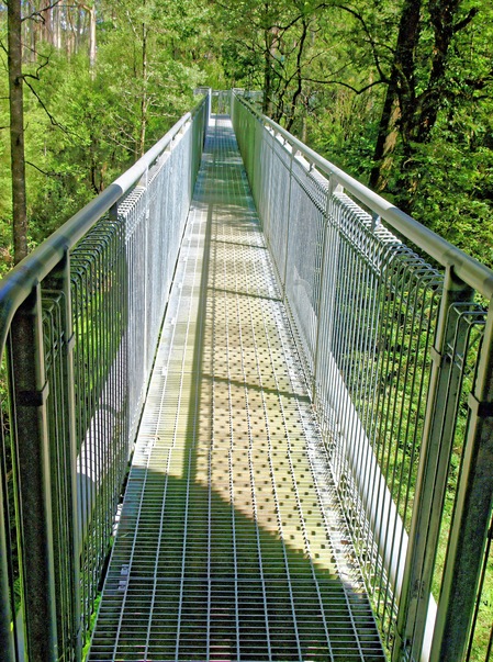 https://lemis.nyc3.digitaloceanspaces.com/grog/Photos/20080301/small/treetop-walk-1.jpeg
