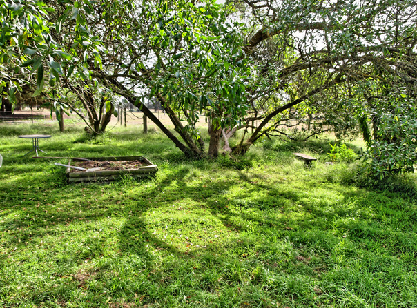 https://lemis.nyc3.digitaloceanspaces.com/grog/Photos/20080315/small/garden-n.jpeg