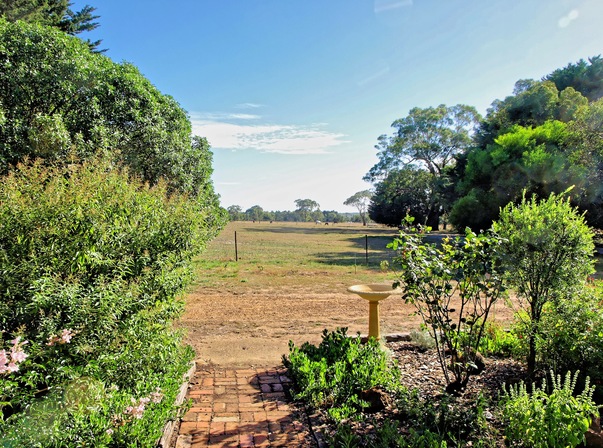 https://lemis.nyc3.digitaloceanspaces.com/grog/Photos/20080316/small/horses-14mm.jpeg