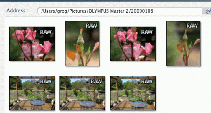 https://lemis.nyc3.digitaloceanspaces.com/grog/Photos/20090108/small/Olympus-folder-view-detail.gif
