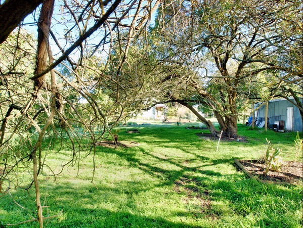https://lemis.nyc3.digitaloceanspaces.com/grog/Photos/20090627/small/garden-w.jpeg