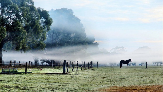 https://lemis.nyc3.digitaloceanspaces.com/grog/Photos/20090627/small/paddock-1-16x9.jpeg