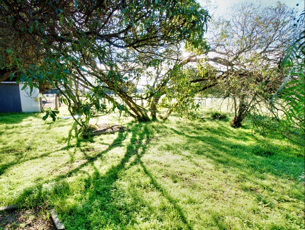 https://lemis.nyc3.digitaloceanspaces.com/grog/Photos/20090627/small/shade-n.jpeg