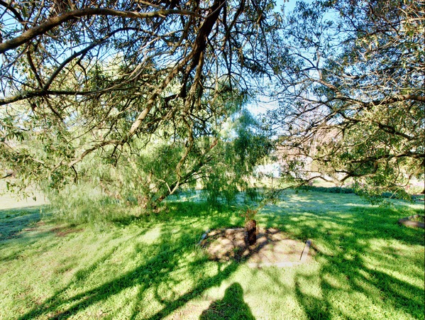 https://lemis.nyc3.digitaloceanspaces.com/grog/Photos/20090627/small/shade-s.jpeg