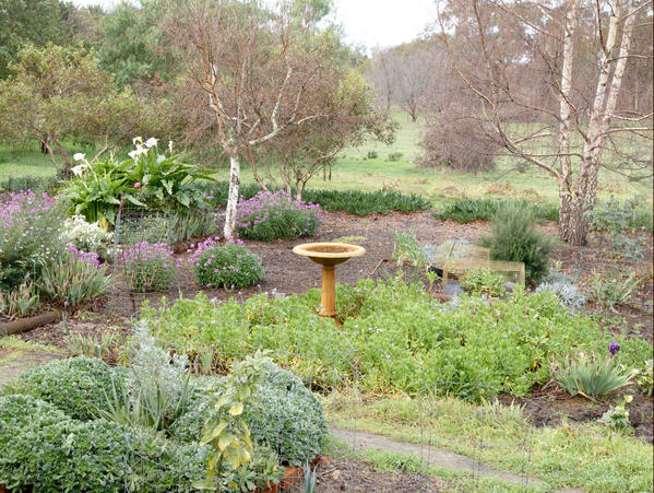 https://lemis.nyc3.digitaloceanspaces.com/grog/Photos/20090705/small/Garden-E-30.jpeg