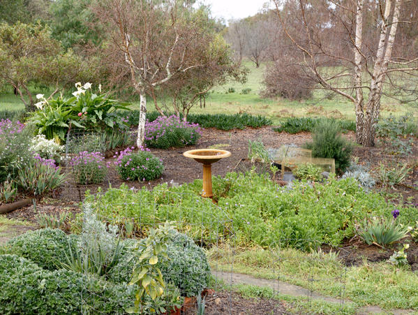 https://lemis.nyc3.digitaloceanspaces.com/grog/Photos/20090705/small/Garden-E-510.jpeg