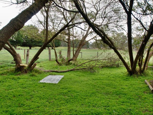 https://lemis.nyc3.digitaloceanspaces.com/grog/Photos/20090725/small/fallen-branch.jpeg