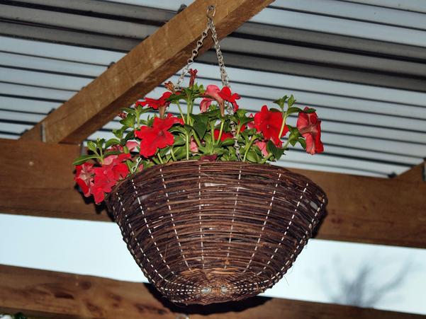 https://lemis.nyc3.digitaloceanspaces.com/grog/Photos/20091106/small/Flower-basket-3.jpeg