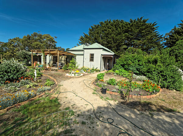 https://lemis.nyc3.digitaloceanspaces.com/grog/Photos/20091107/small/garden-ne-d.jpeg