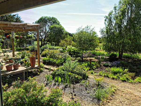 https://lemis.nyc3.digitaloceanspaces.com/grog/Photos/20091107/small/house-ne.jpeg