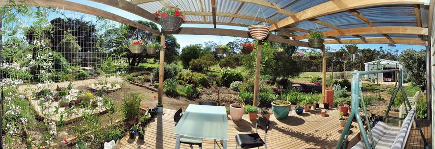 https://lemis.nyc3.digitaloceanspaces.com/grog/Photos/20091107/small/verandah-panorama-0.jpeg