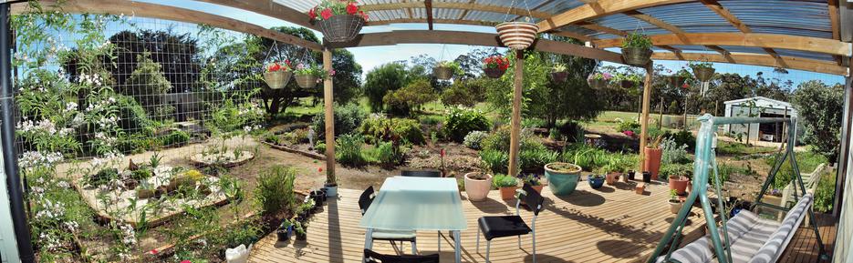 https://lemis.nyc3.digitaloceanspaces.com/grog/Photos/20091107/small/verandah-panorama-1.jpeg