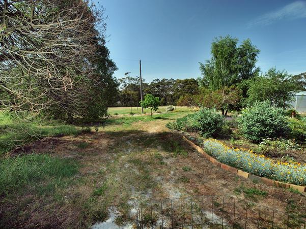 https://lemis.nyc3.digitaloceanspaces.com/grog/Photos/20091114/small/garden-ne-a.jpeg