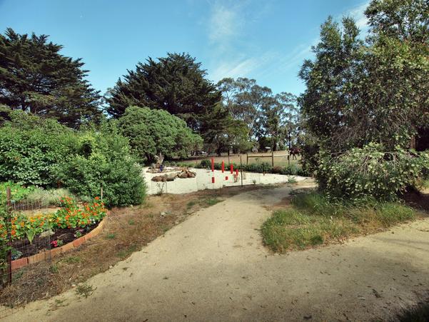 https://lemis.nyc3.digitaloceanspaces.com/grog/Photos/20091114/small/garden-ne-f.jpeg