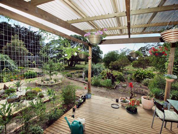 https://lemis.nyc3.digitaloceanspaces.com/grog/Photos/20091114/small/verandah-2.jpeg